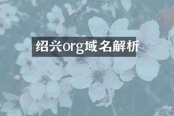 绍兴org域名解析