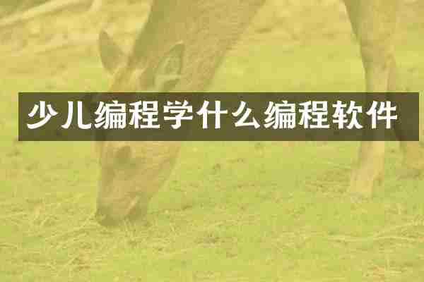 少儿编程学什么编程软件
