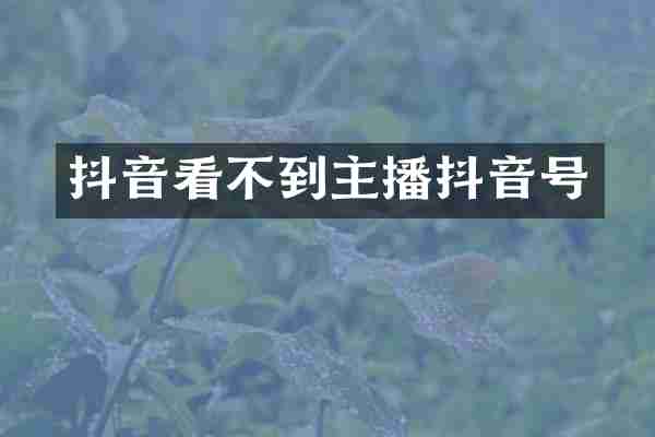 抖音看不到主播抖音号