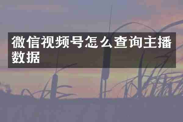 微信视频号怎么查询主播数据