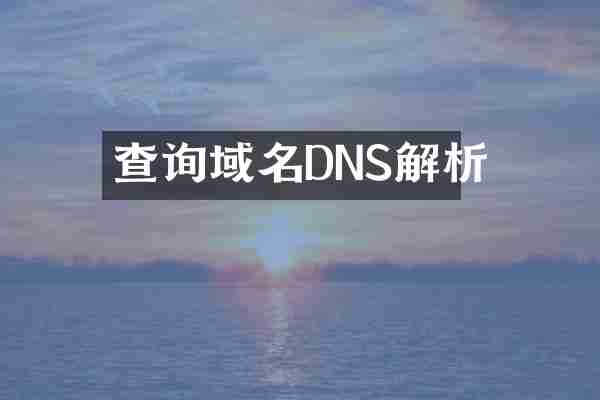 查询域名DNS解析