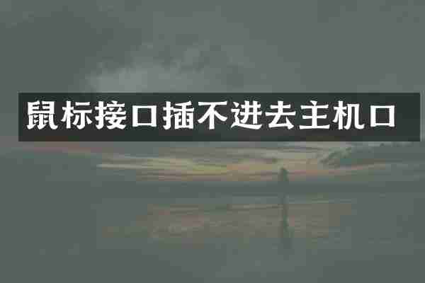 鼠标接口插不进去主机口