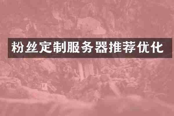 粉丝定制服务器推荐优化