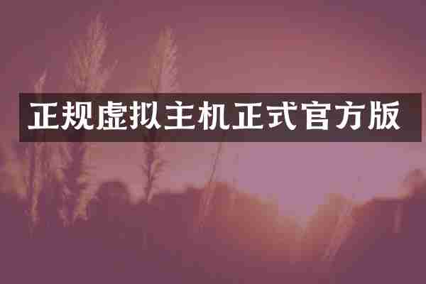 正规虚拟主机正式官方版