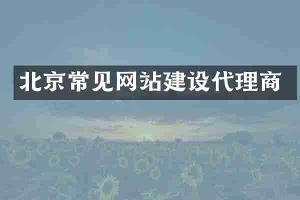 北京常见网站建设代理商