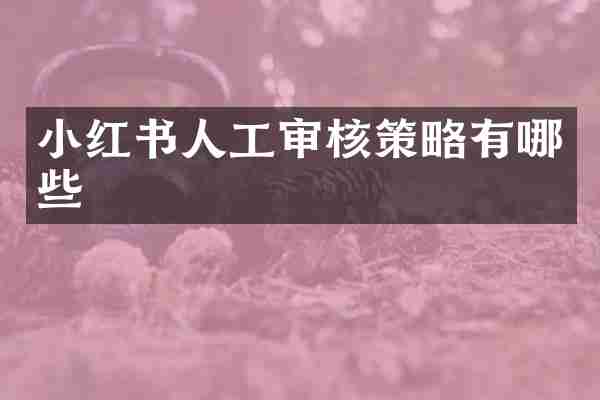 小红书人工审核策略有哪些