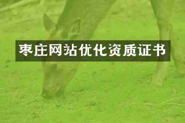 枣庄网站优化资质证书