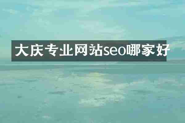 大庆专业网站seo哪家好