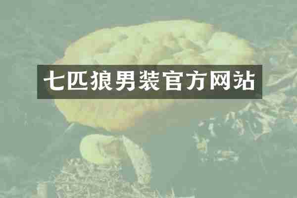 七匹狼男装官方网站