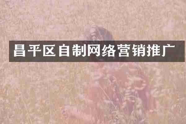 昌平区自制网络营销推广