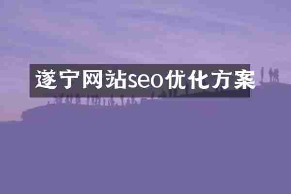 遂宁网站seo优化方案