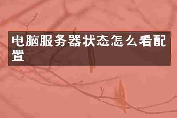 电脑服务器状态怎么看配置