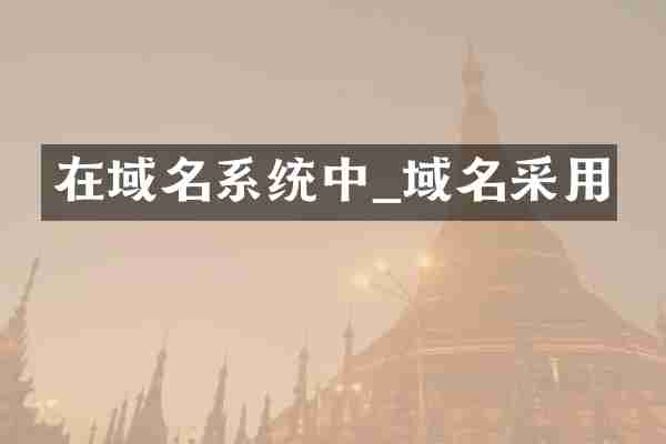 在域名系统中_域名采用