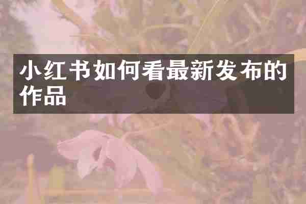 小红书如何看最新发布的作品