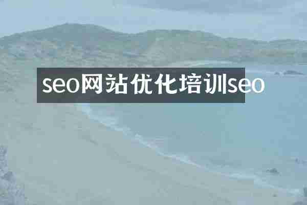 seo网站优化培训seo