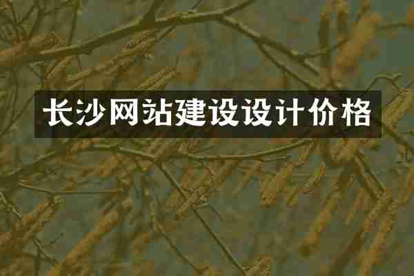 长沙网站建设设计价格