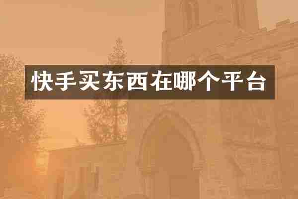 快手买东西在哪个平台