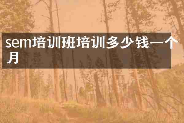 sem培训班培训多少钱一个月