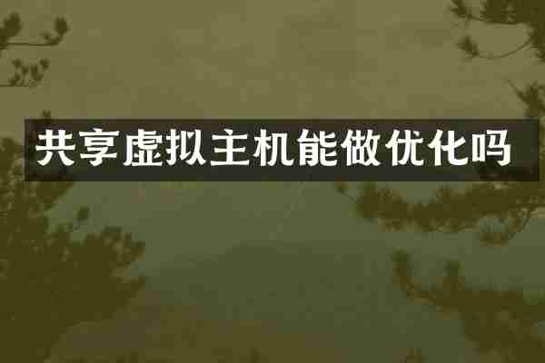 共享虚拟主机能做优化吗