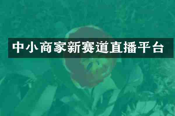 中小商家新赛道直播平台