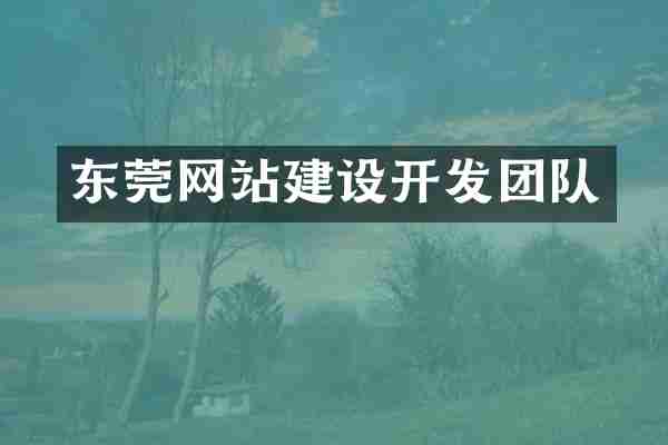 东莞网站建设开发团队
