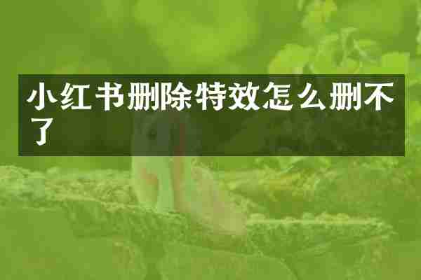 小红书删除特效怎么删不了