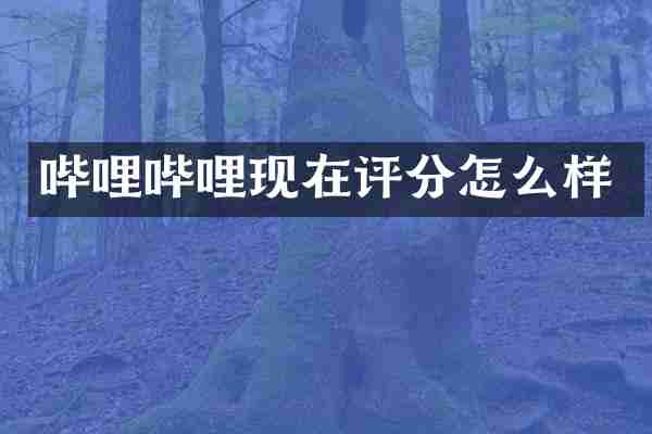 哔哩哔哩现在评分怎么样