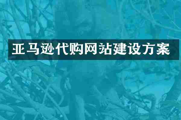 亚马逊代购网站建设方案