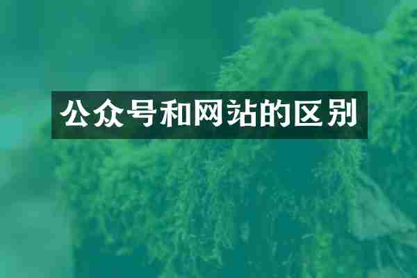 公众号和网站的区别