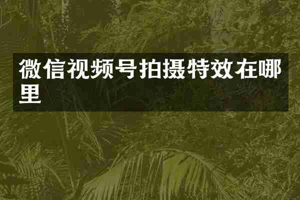 微信视频号拍摄特效在哪里