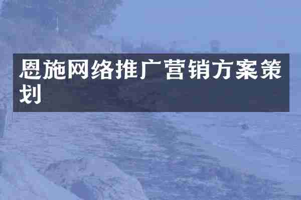 恩施网络推广营销方案策划