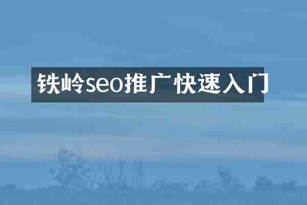 铁岭seo推广快速入门