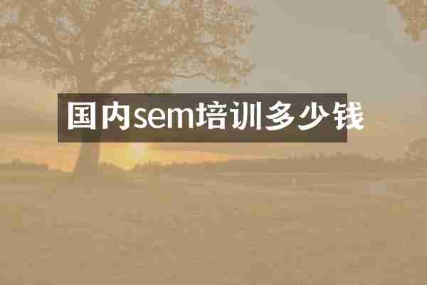 国内sem培训多少钱