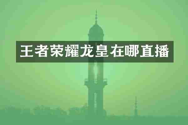 王者荣耀龙皇在哪直播