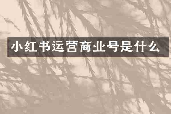 小红书运营商业号是什么