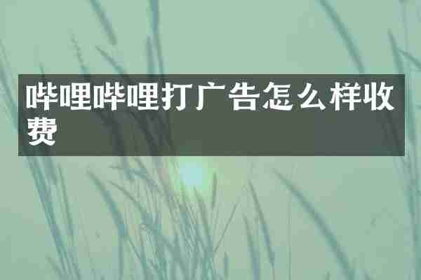 哔哩哔哩打广告怎么样收费