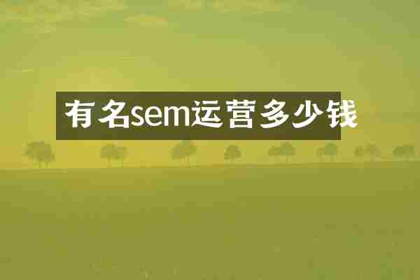 有名sem运营多少钱