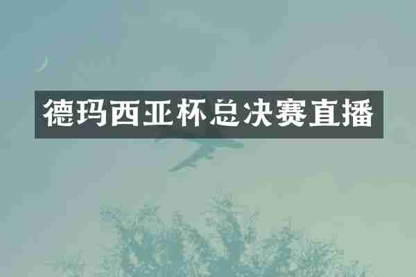 德玛西亚杯总决赛直播