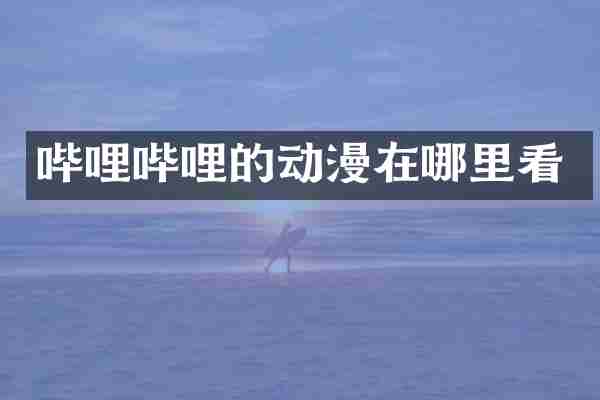 哔哩哔哩的动漫在哪里看