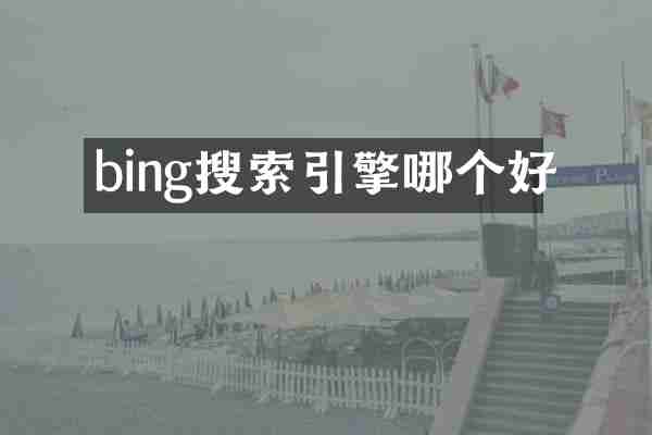 bing搜索引擎哪个好