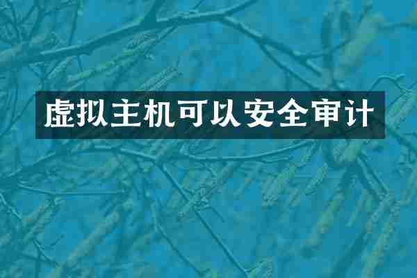 虚拟主机可以安全审计