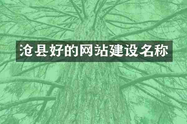 沧县好的网站建设名称