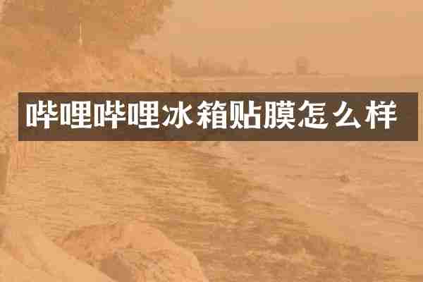 哔哩哔哩冰箱贴膜怎么样