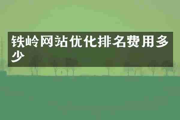 铁岭网站优化排名费用多少