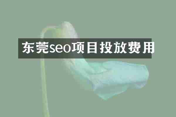 东莞seo项目投放费用