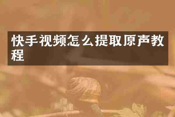 快手视频怎么提取原声教程
