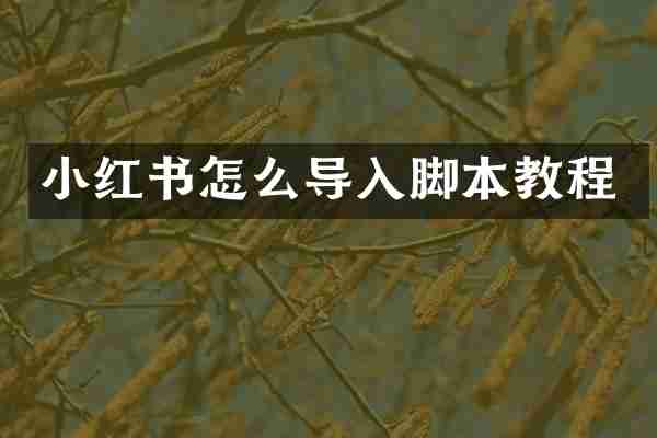 小红书怎么导入脚本教程