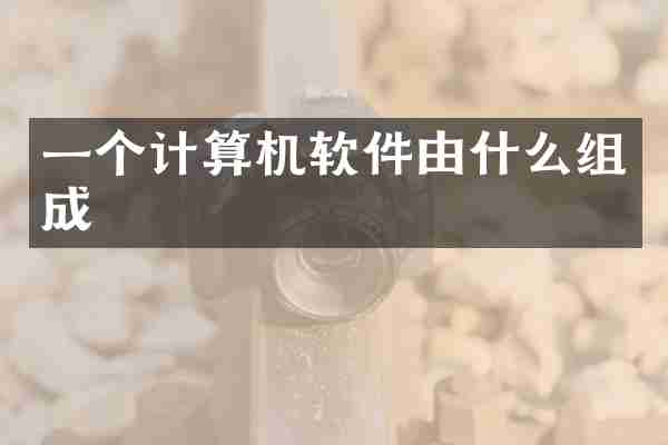 一个计算机软件由什么组成