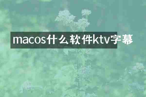macos什么软件ktv字幕
