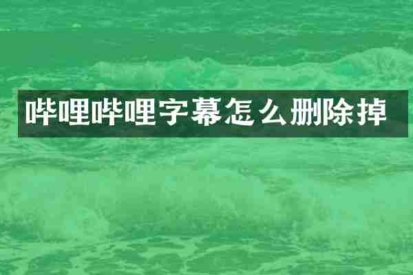 哔哩哔哩字幕怎么删除掉